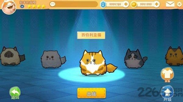 猫咪碰碰球最新版下载,猫咪碰碰球,碰撞游戏,卡通游戏